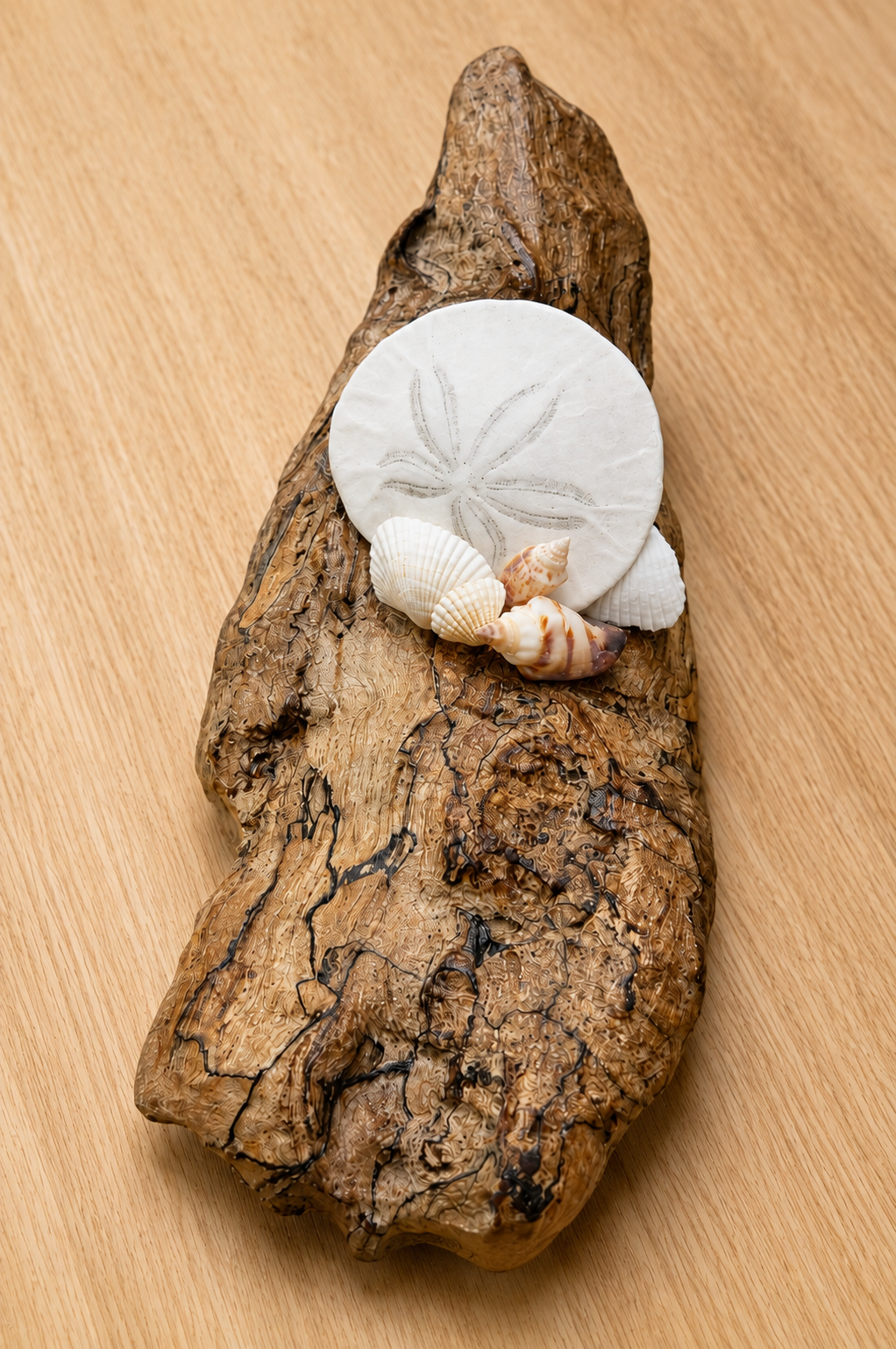 Driftwood Coastal Decor with Sand Dollar & Seashells – Hand Gathered from the Oregon Coast